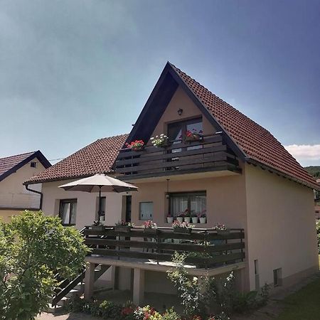 Putnicka Kuca Kod Dragane Hotel บายินา บาชตา ภายนอก รูปภาพ