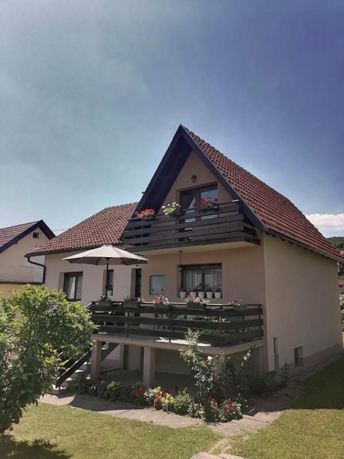 Putnicka Kuca Kod Dragane Hotel บายินา บาชตา ภายนอก รูปภาพ